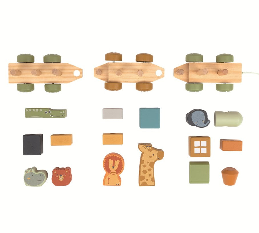 רכבת עץ עם חיות וקוביות Shin Shin