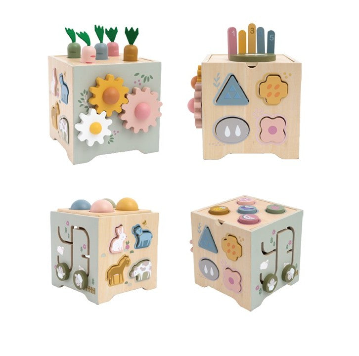 קוביית פעילות Shin Shin