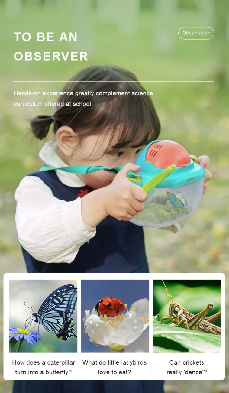 ערכת מדע לחקר חרקים MIDEER - דוארט | DoArt