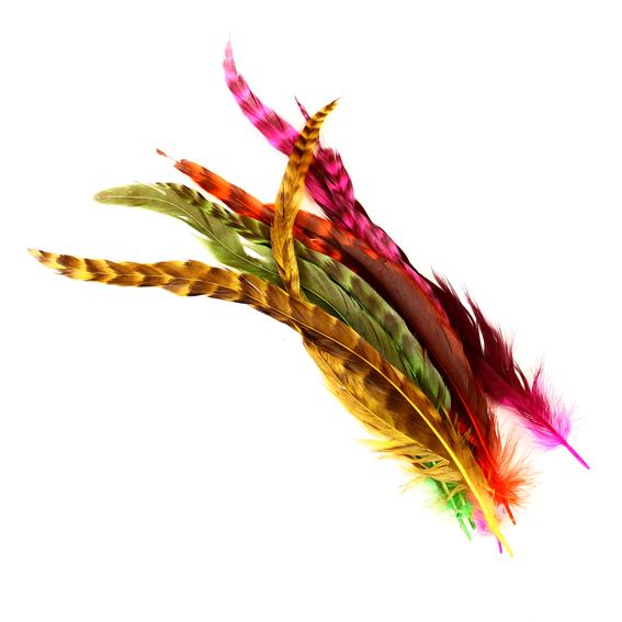 נוצות ארוכות צבעוניות מפוספסות - דוארט | DoArt