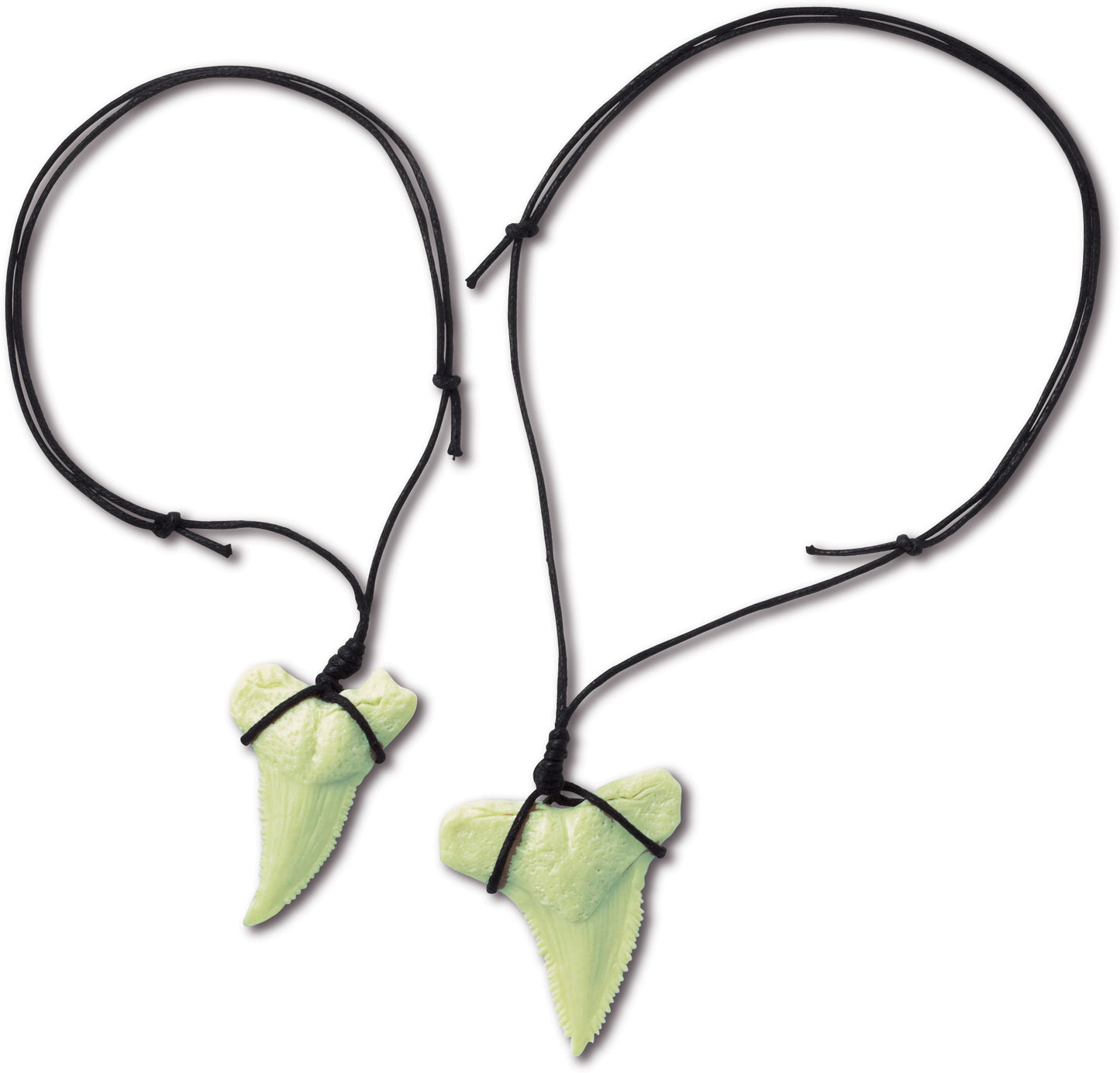 ביצת ארכיאולוג שן כריש - מעבדת הילדים 4M - דוארט | DoArt