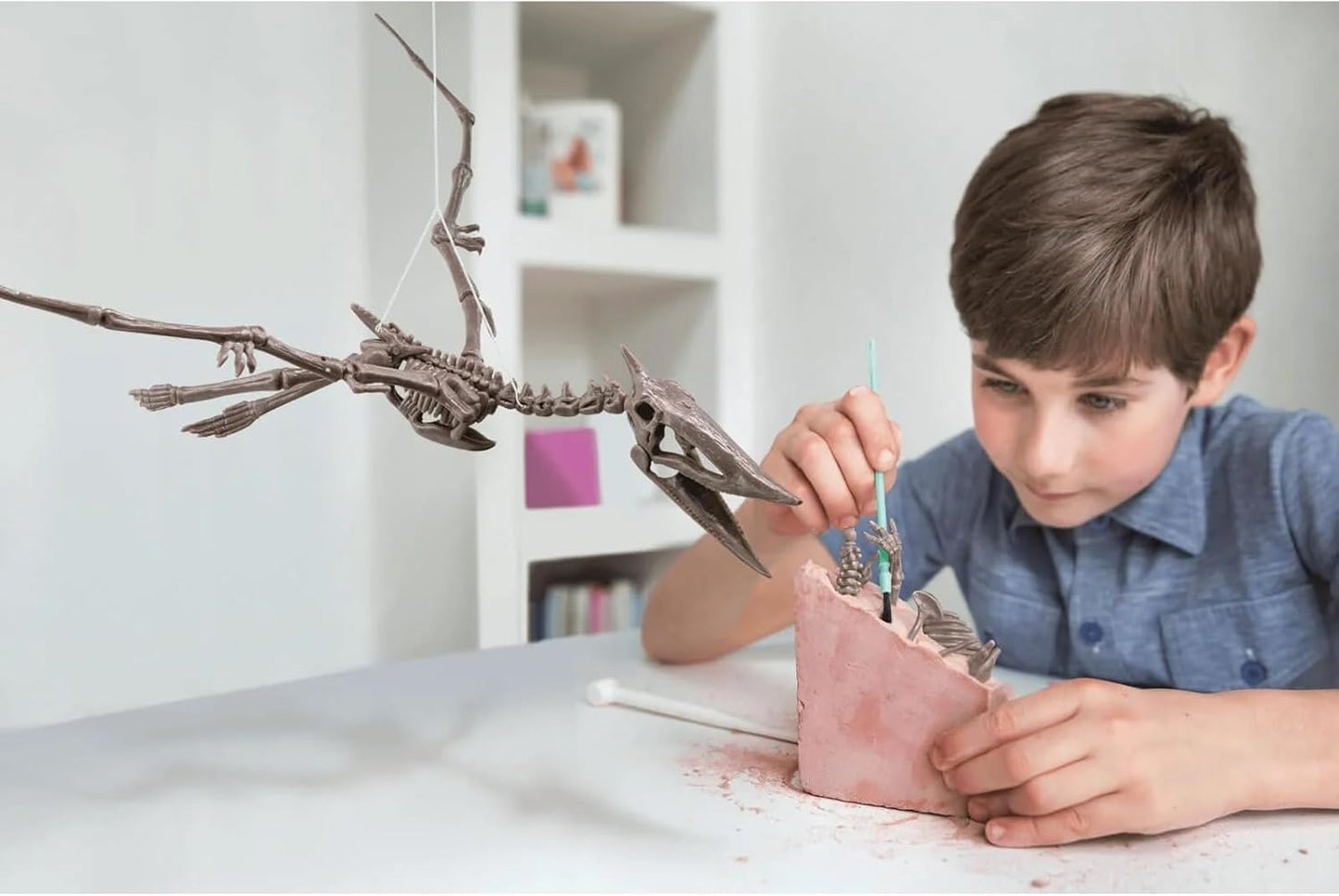 ערכת חפירה שלד פטרנודון - מעבדת הילדים 4M - דוארט | DoArt