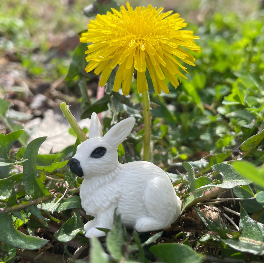 מניאטורות במארז TOOB - גורי חיות חווה SF6812 - דוארט | DoArt