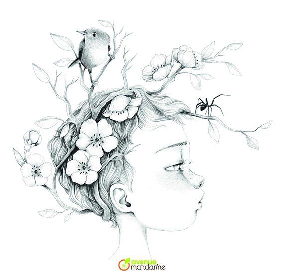 חוברת צביעה עמנואל קולין - 3 MANDARINE