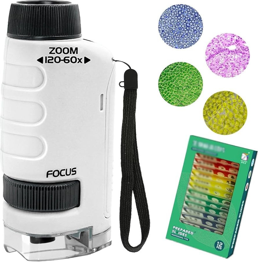 מיקרוסקופ כיס נייד לדרך - For Think Road - דוארט | DoArt