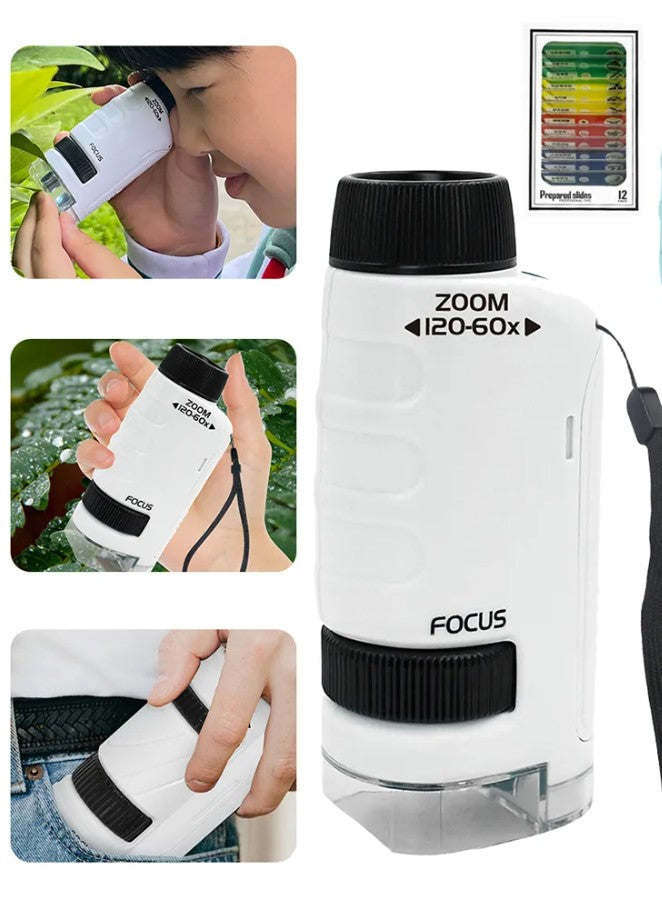 מיקרוסקופ כיס נייד לדרך - For Think Road - דוארט | DoArt