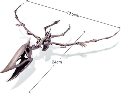 ערכת חפירה שלד פטרנודון - מעבדת הילדים 4M
