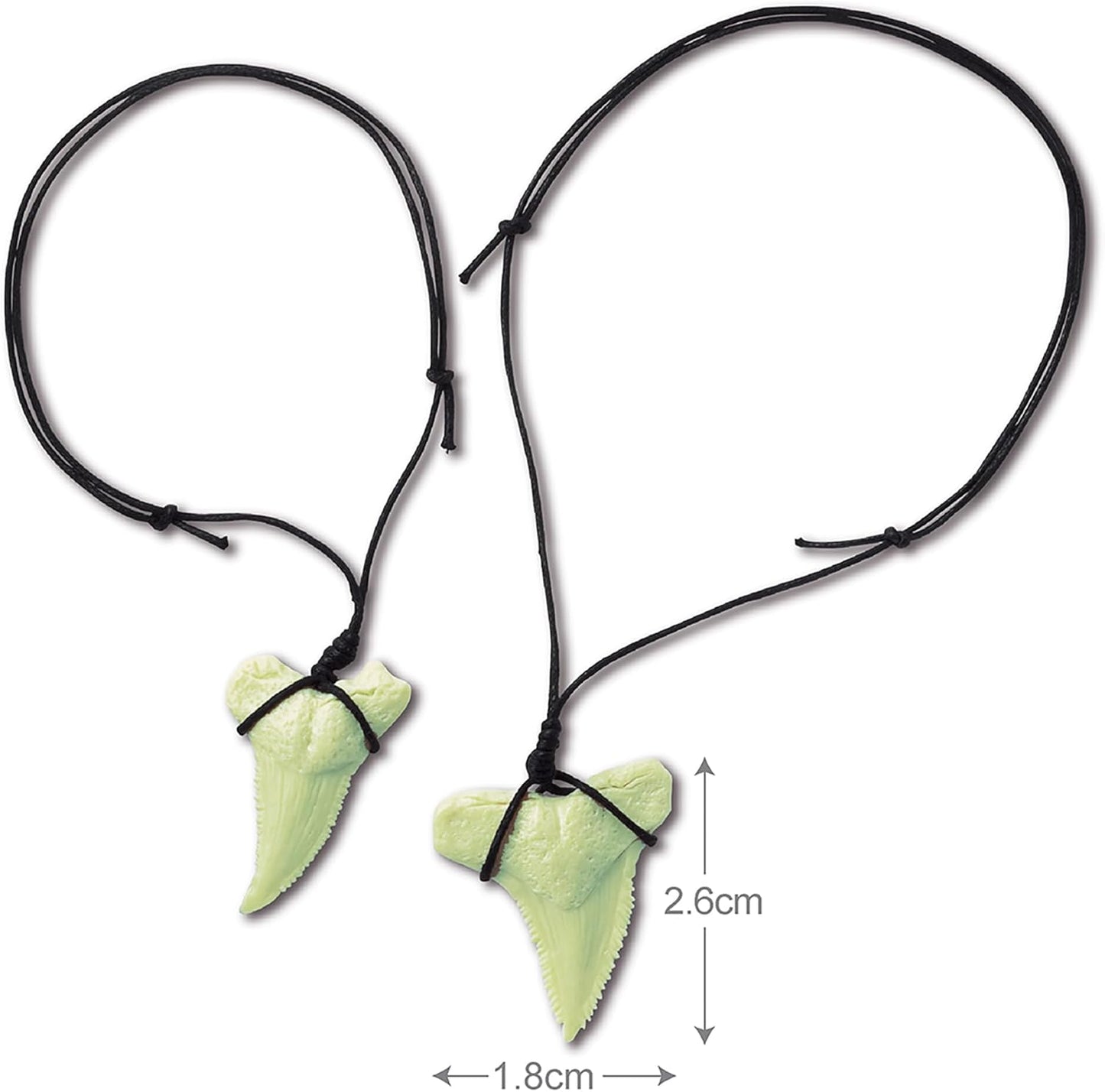 ביצת ארכיאולוג שן כריש - מעבדת הילדים 4M - דוארט | DoArt