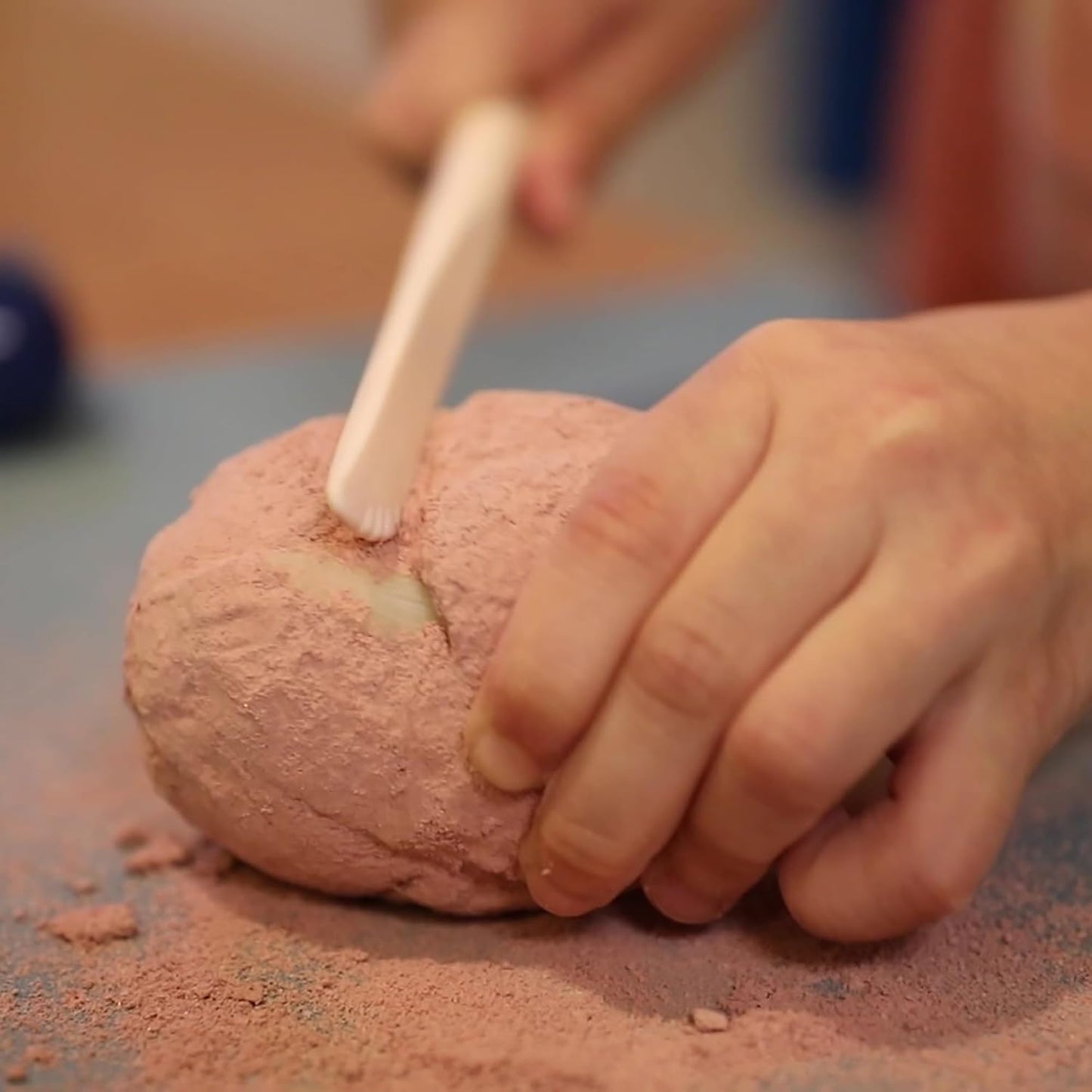 ביצת ארכיאולוג שן כריש - מעבדת הילדים 4M - דוארט | DoArt