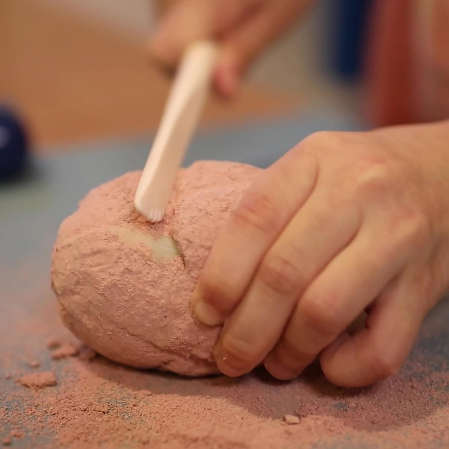 ביצת ארכיאולוג שן כריש - מעבדת הילדים 4M - דוארט | DoArt