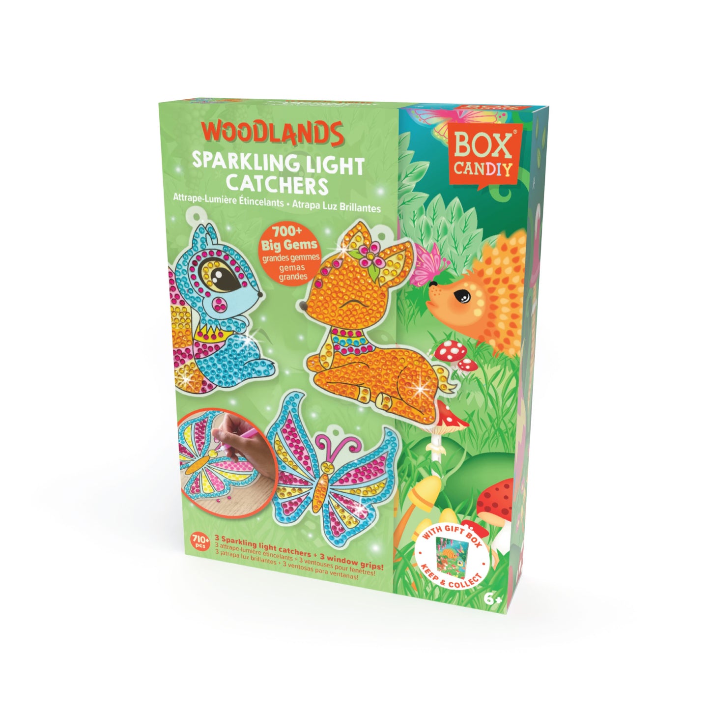 ערכה להכנת לוכדי אור מנצנצים - BOX CanDIY - דוארט | DoArt