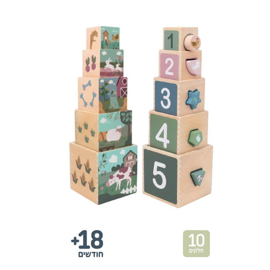 מגדל קוביות עץ עם התאמת צורות - חיות  Shin Shin