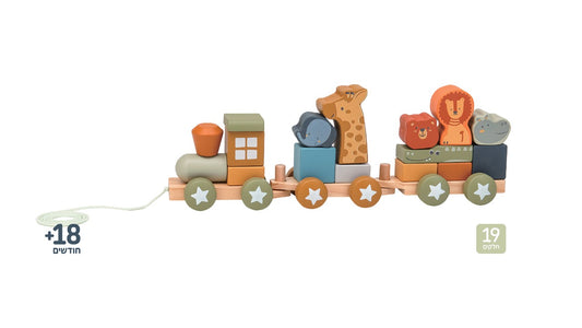 רכבת עץ עם חיות וקוביות Shin Shin