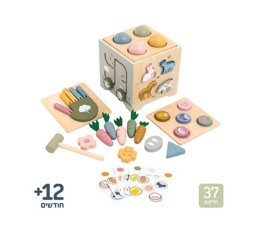 קוביית פעילות  Shin Shin