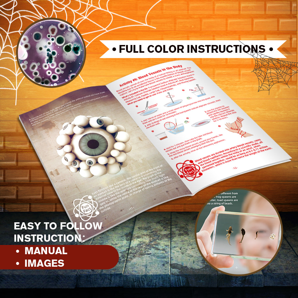 ערכת מדע להכנת דברים מגעילים - Shin Shin - דוארט | DoArt