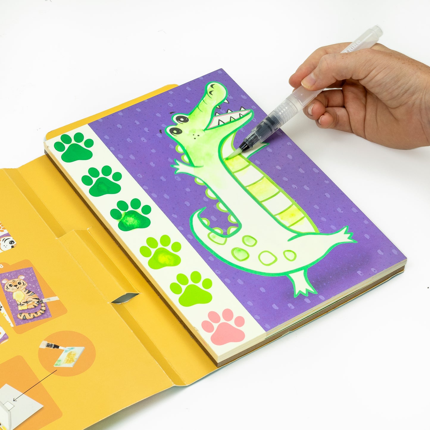 ערכת צביעת תמונה בצבעי מים - חיות בר Tiger Tribe