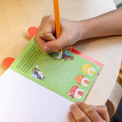 ערכת פעילות ביזי ווייז – פיות Tiger Tribe