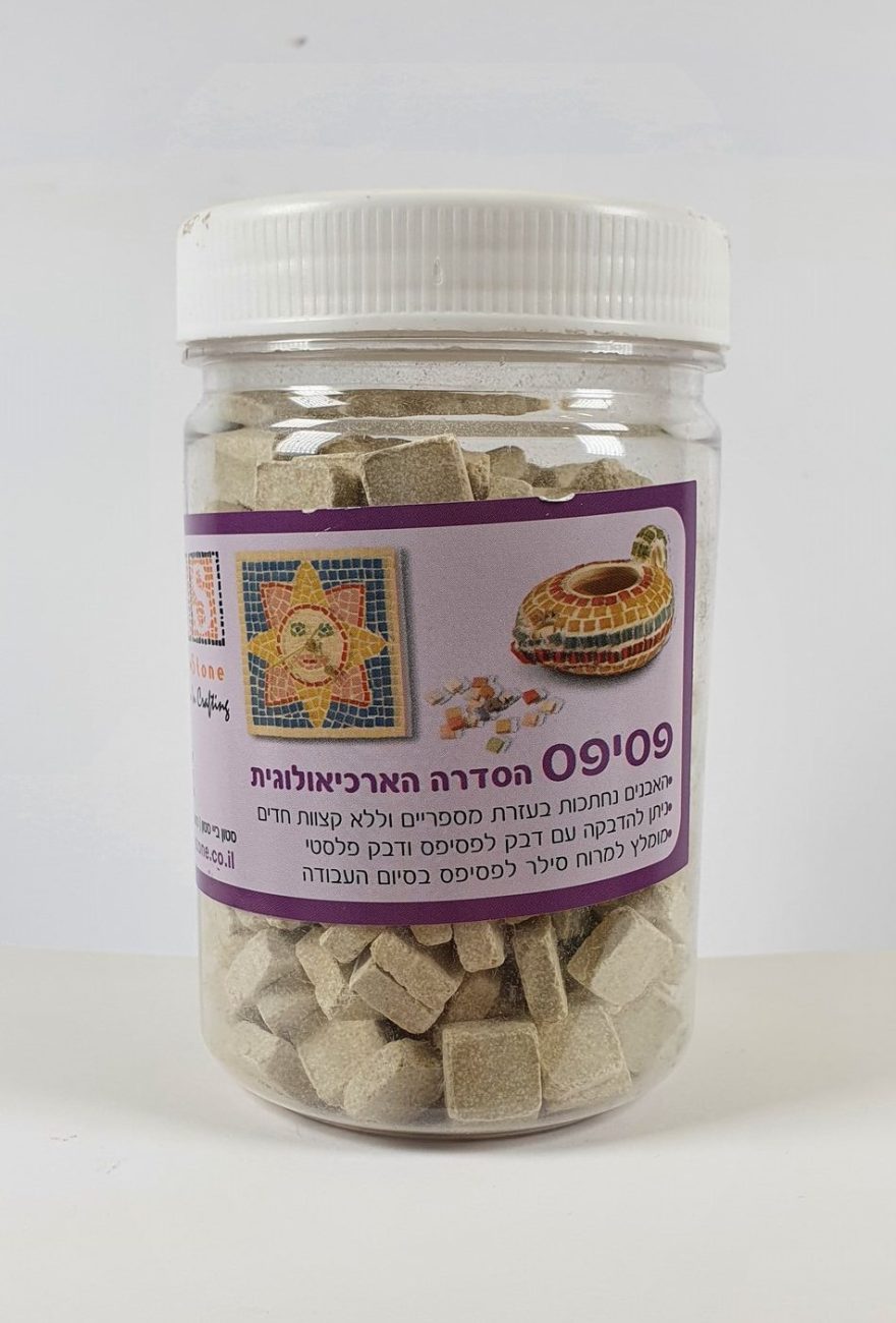 פסיפס אבן בייג' 003