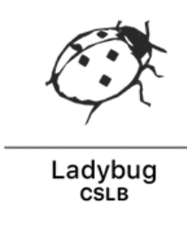 ערכת חותם שעווה - חיפושית - דוארט | DoArt