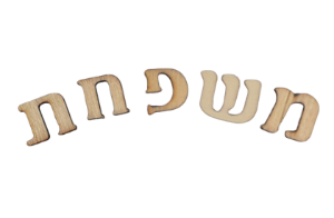 אותיות עץ לשלט - משפחת (דפוס קטן) - דוארט | DoArt