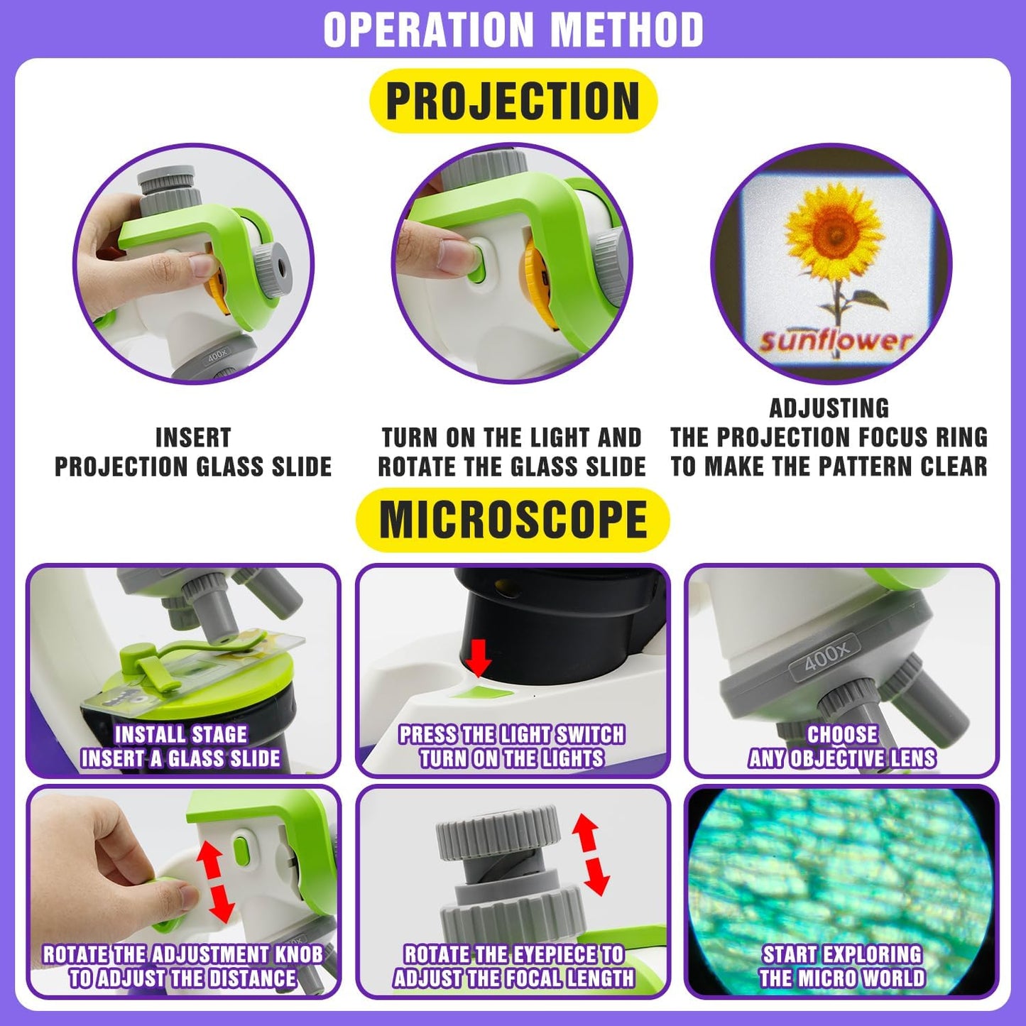 מיקרוסקופ שקופיות - Shin Shin - דוארט | DoArt