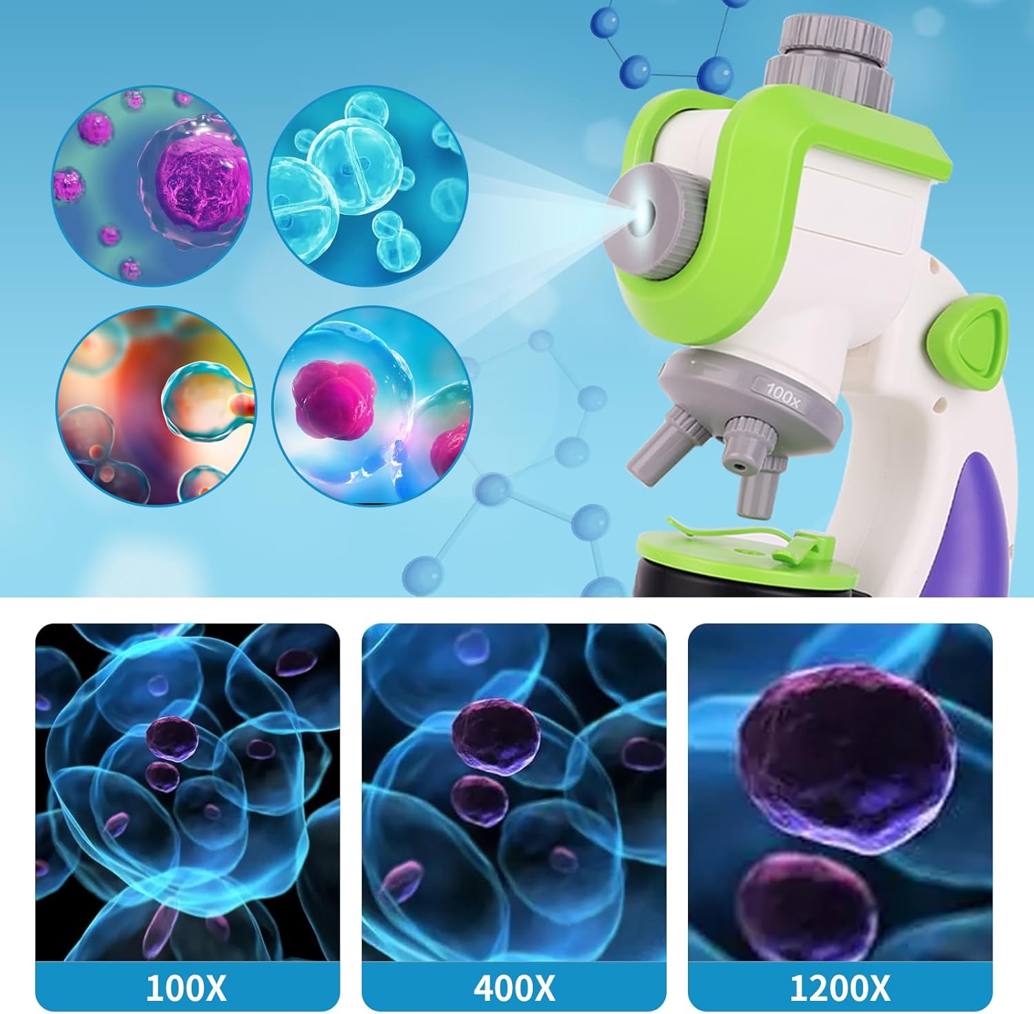 מיקרוסקופ שקופיות - Shin Shin - דוארט | DoArt