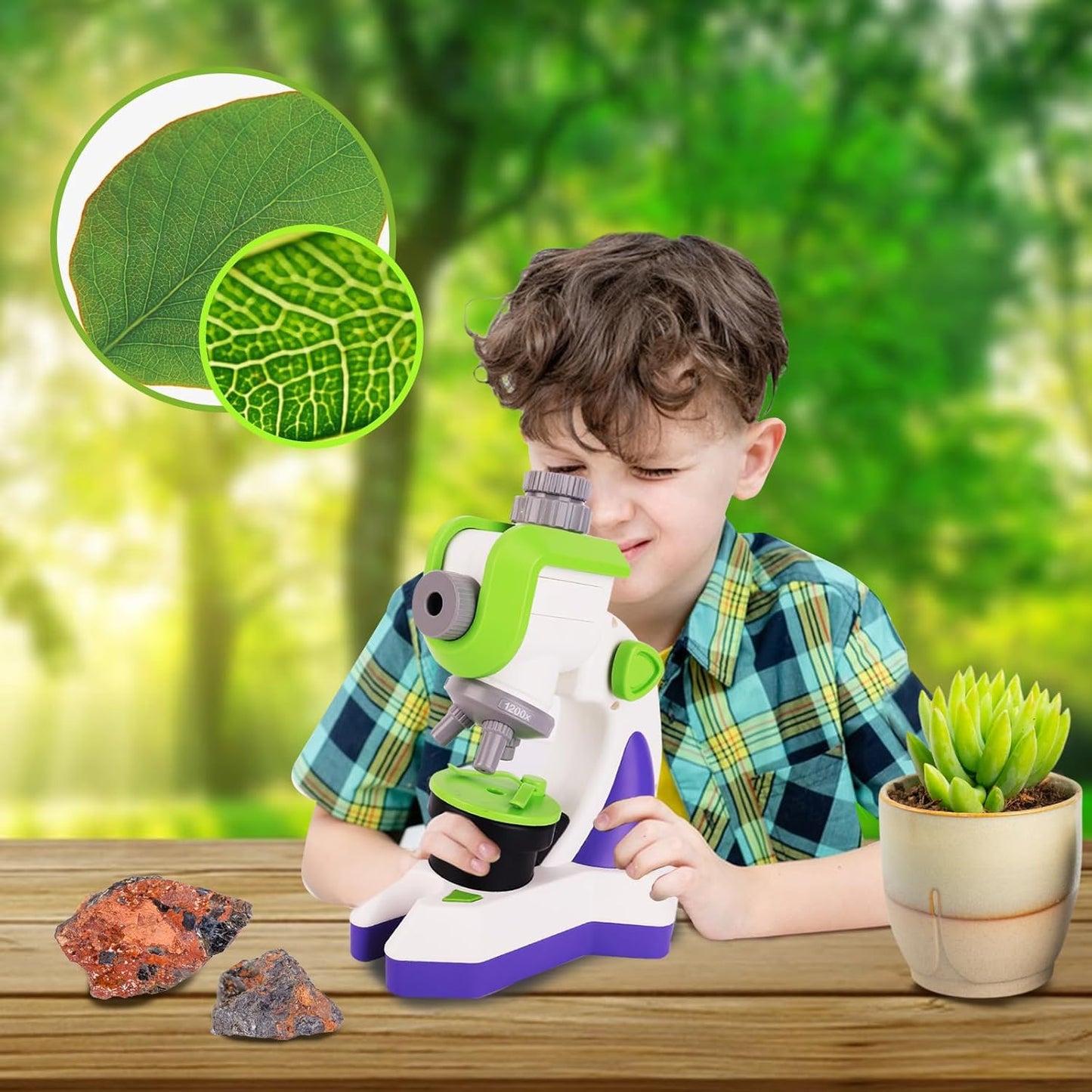 מיקרוסקופ שקופיות - Shin Shin - דוארט | DoArt