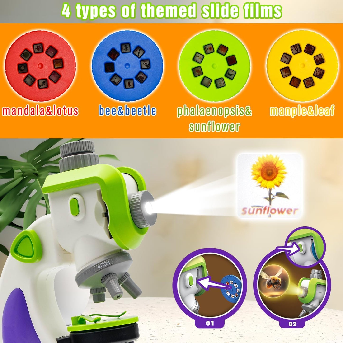 מיקרוסקופ שקופיות - Shin Shin - דוארט | DoArt