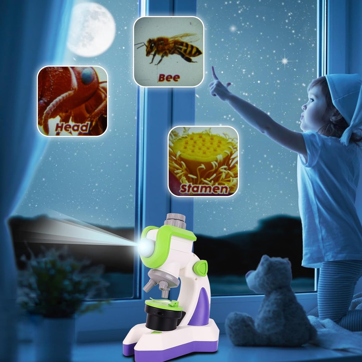 מיקרוסקופ שקופיות - Shin Shin - דוארט | DoArt