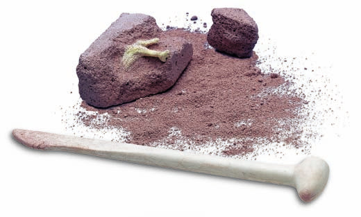 ביצת ארכיאולוג דינזאור - מעבדת הילדים 4M - דוארט | DoArt