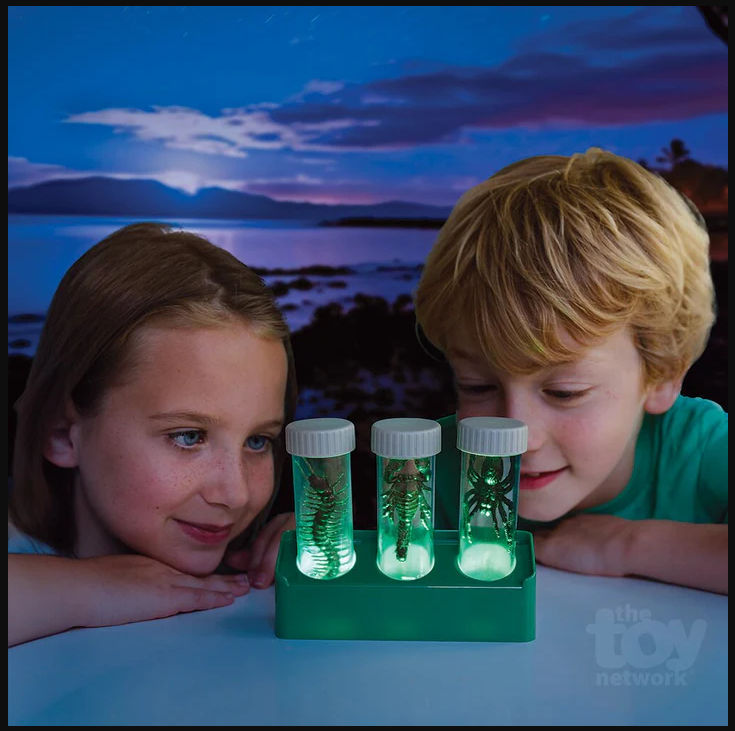 מעבדת חרקים זוהרת - מעבדת הילדים 4M - דוארט | DoArt