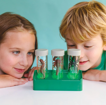 מעבדת חרקים זוהרת - מעבדת הילדים 4M - דוארט | DoArt