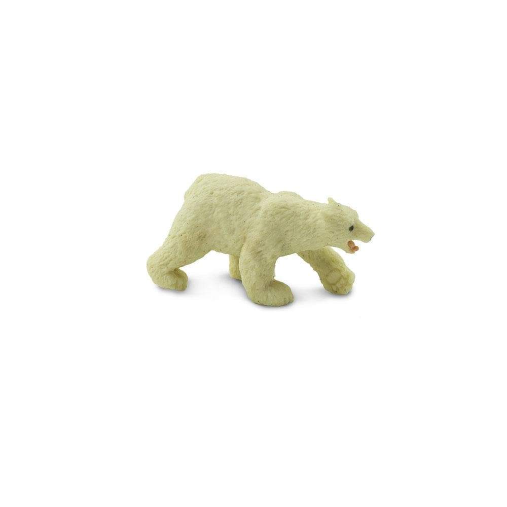 חיות מניאטורה – דוב קוטב