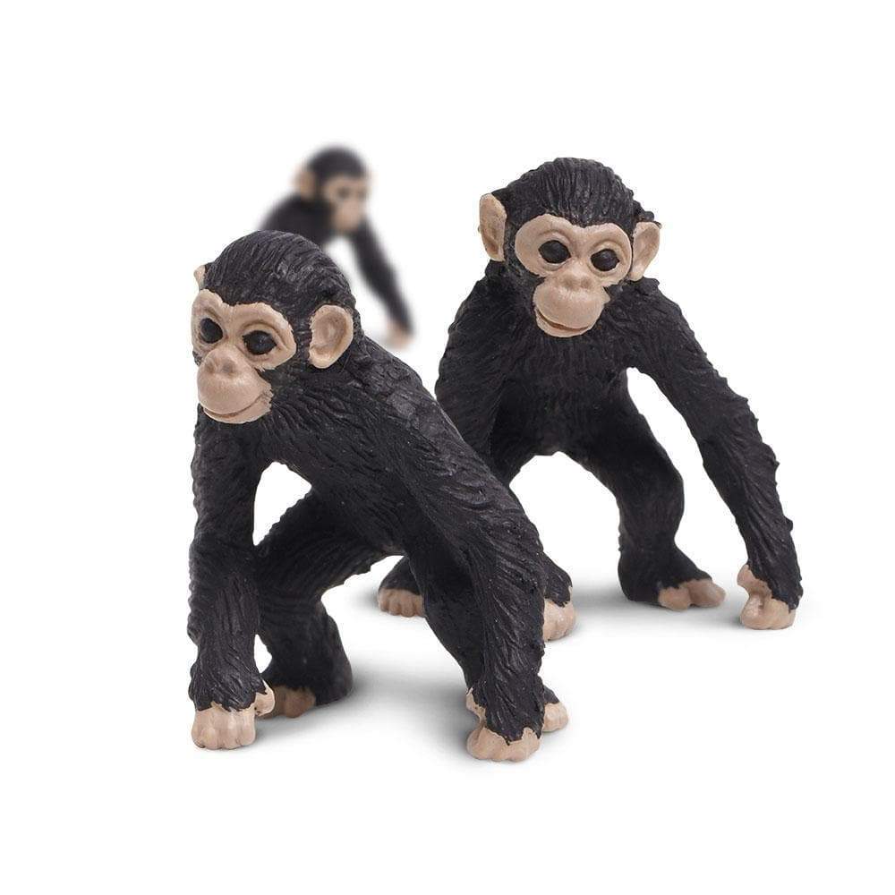 חיות מניאטורה – שימפנזה