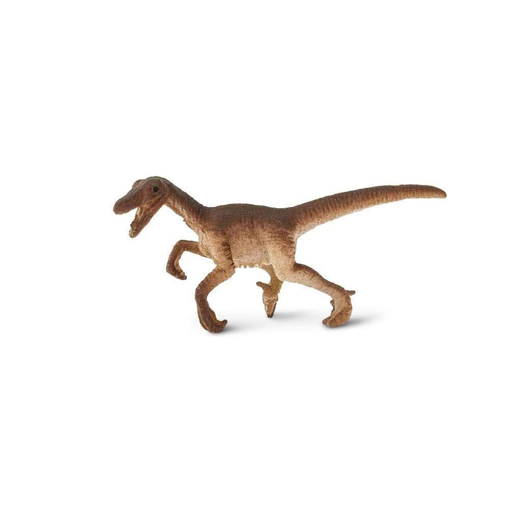 חיות מניאטורה – רפטור דינוזאור