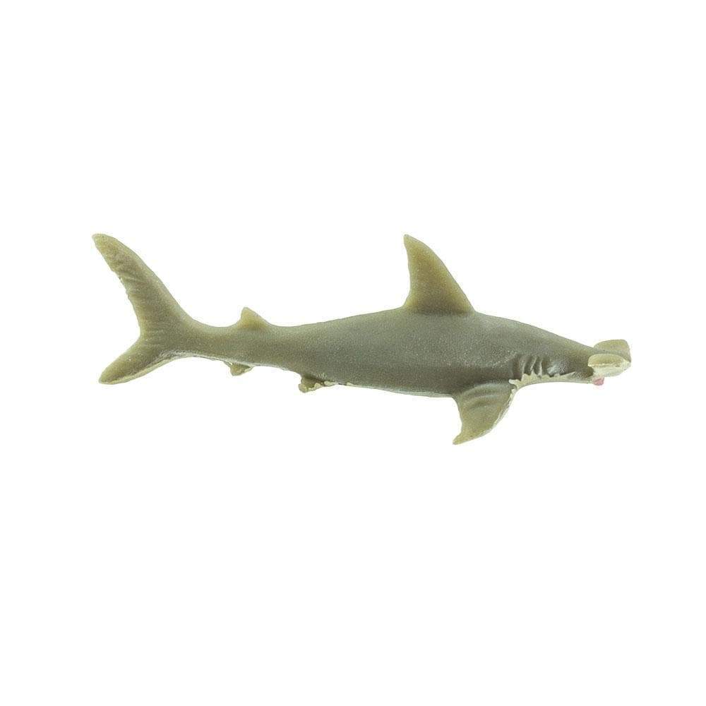 חיות מניאטורה – כריש פטיש
